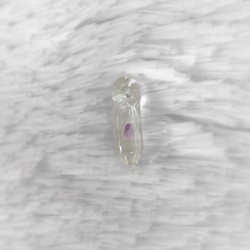 20210927_180242464_ios