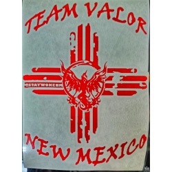 moltres_team_valor_nm_with_insta